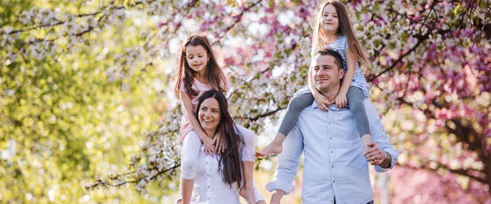 young family walking outside underneath cherry blossom trees